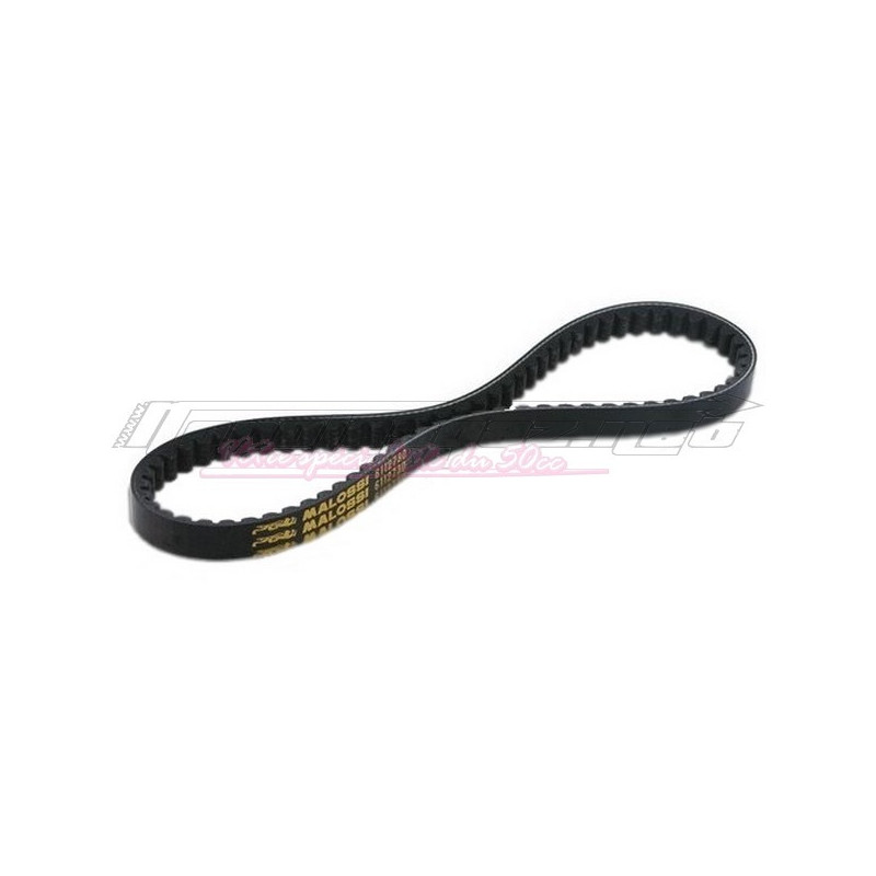 Courroie Malossi X-Special Belt Booster / Nitro