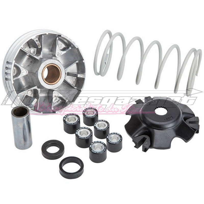 Variateur Malossi Multivar Piaggio / Gilera