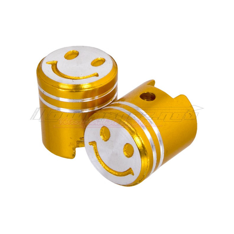 Bouchons de valves piston or