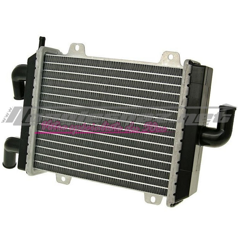 Radiateur type origine Peugeot Speedfight 1 & 2