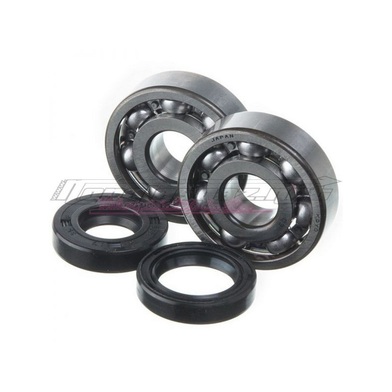 Kit roulements & spi de vilebrequin Watts AM6 2 x 6204
