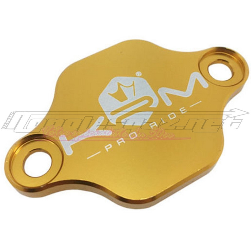 Obturateur de pompe à huile KRM AM6 / Derbi or