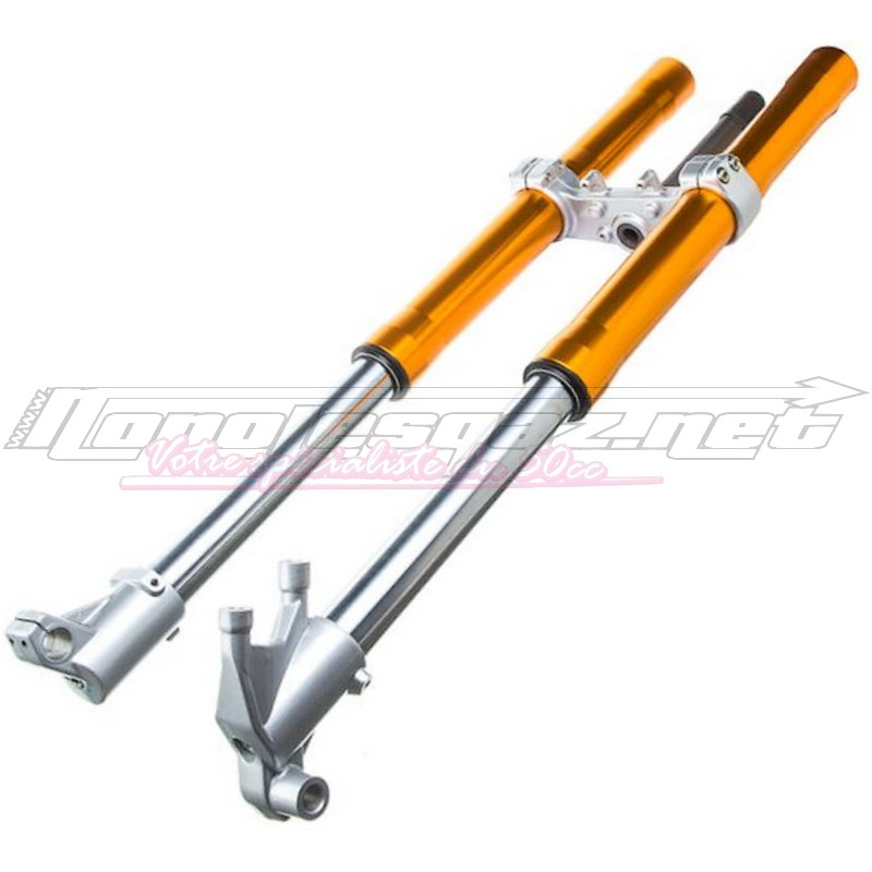 Fourche origine Rieju MRT Pro or