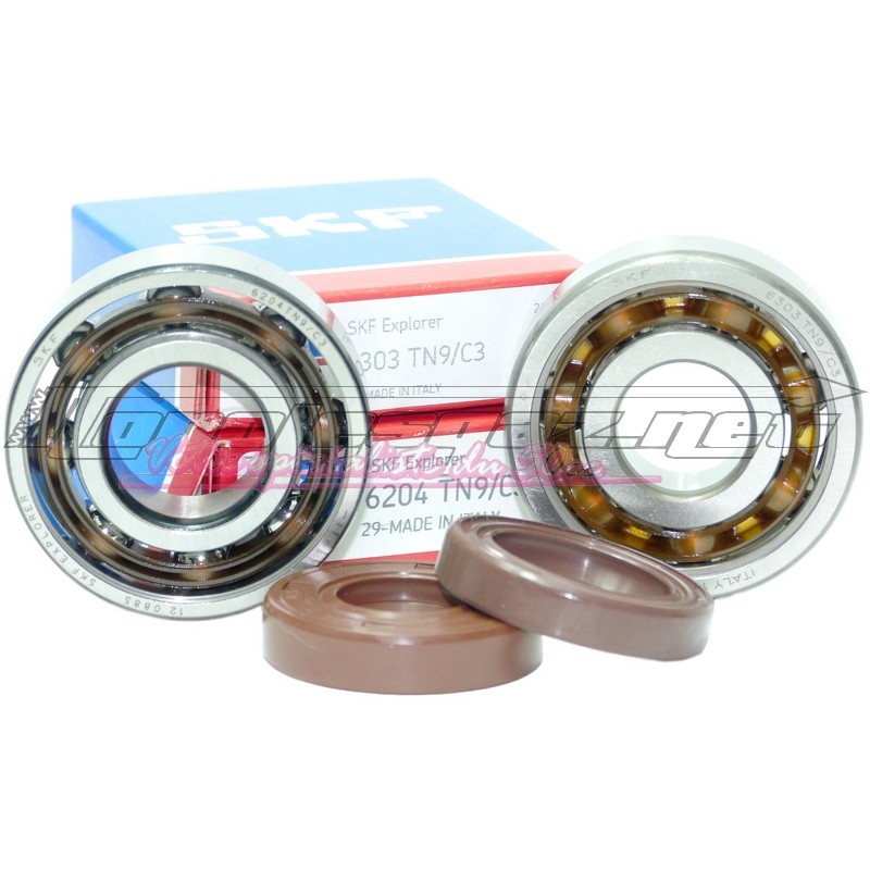 Kit roulements & spi de vilebrequin NLG AM6 6303 + 6204 (C3 poly.)