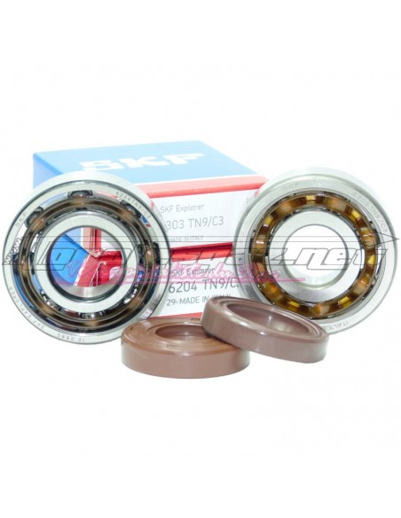 Kit roulements & spi de vilebrequin NLG AM6 6303 + 6204 (C3 poly.)