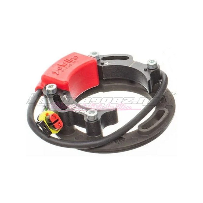 Stator d'allumage Italkit Selettra Ø58mm digital double courbe