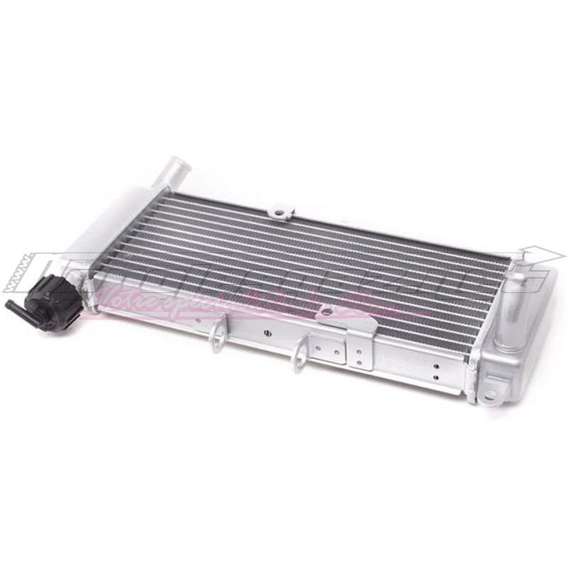 Radiateur adaptable Aprilia RS4 ap.2011