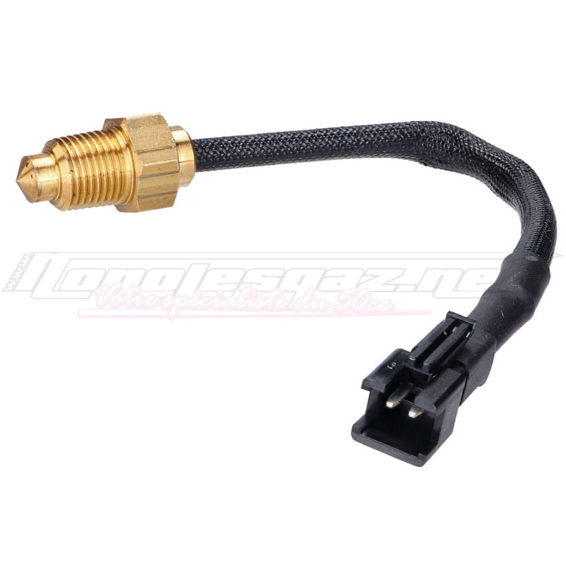 Sonde de température Stage6 PT1/8x28 fiche noir