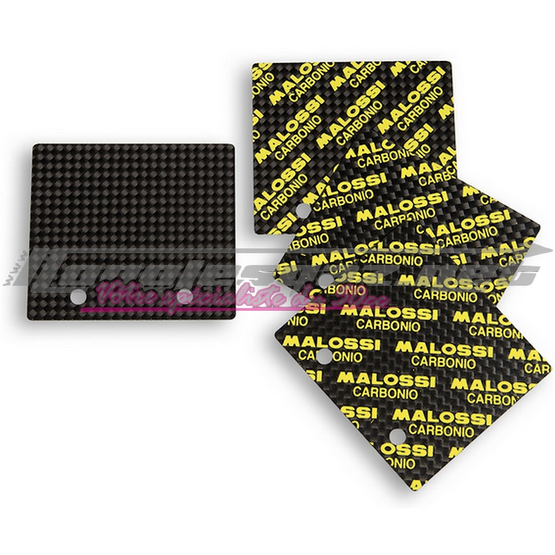 Lamelles de rechange Malossi VL18 0.23 & 0.28mm AM6 / Derbi