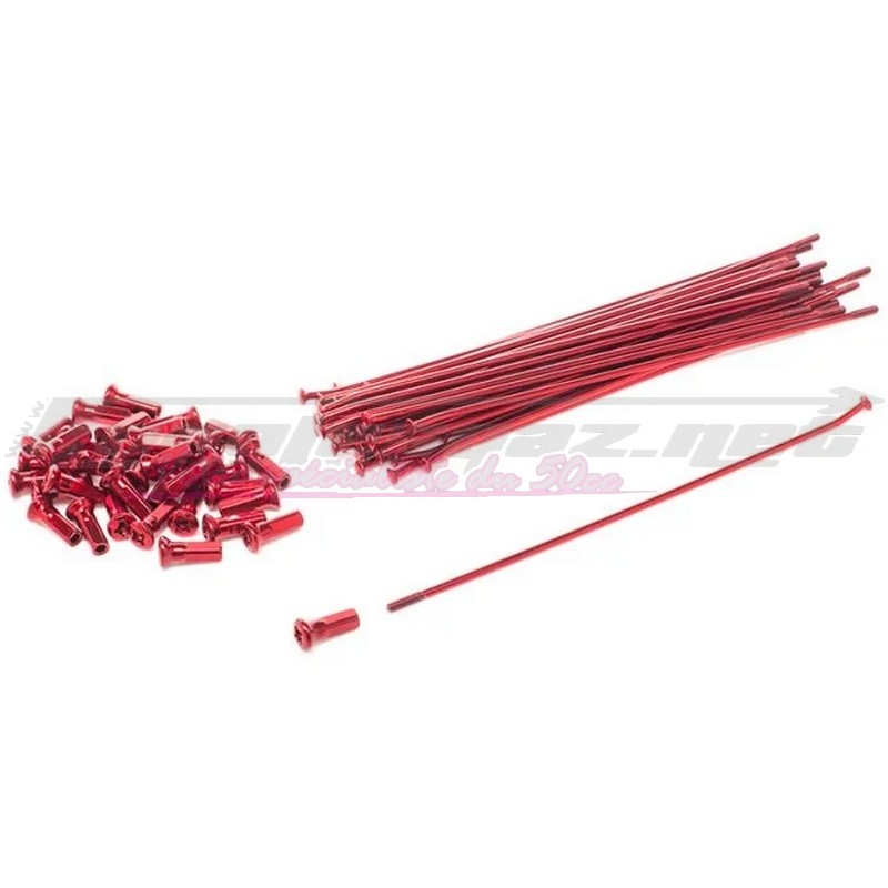 Kit rayons Doppler jante AR Derbi 17 pouces rouge