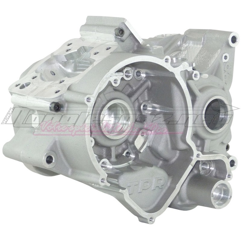 Carters moteur TPR Factory 100cc AM6
