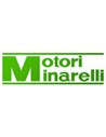 MOTORI MINARELLI